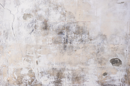 Richtiges Lüften - Schimmelbildung verhindern