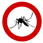 Insektenschutz Stechmücken können durch den Einsatz von Fliegengittern an Fenstern und Türen draußen gehalten werden.